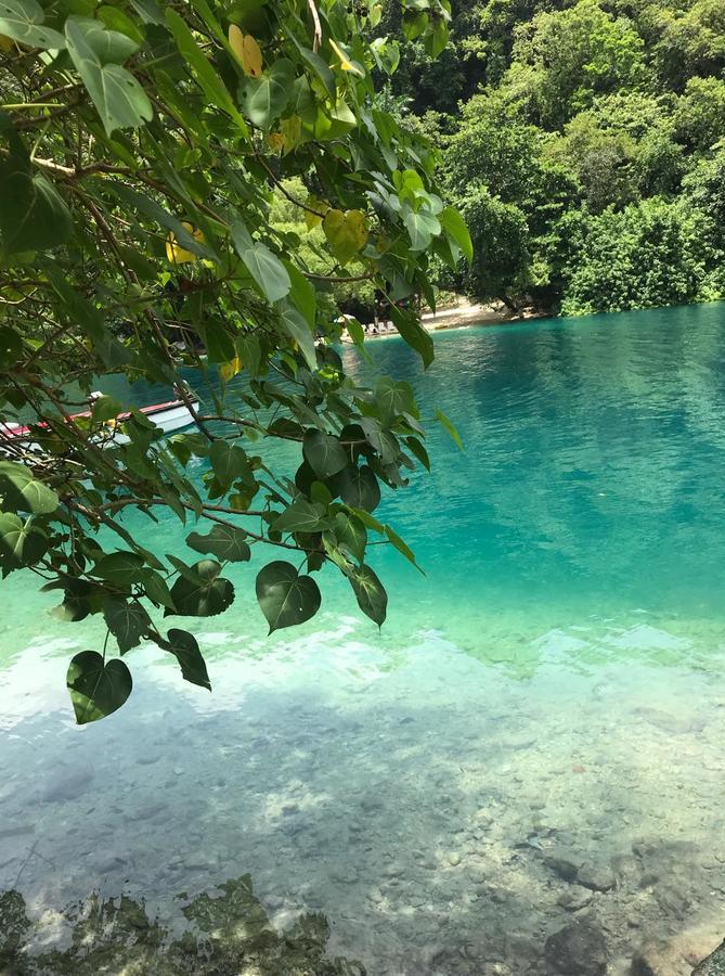 Nature In Portland Port Antonio Exterior photo