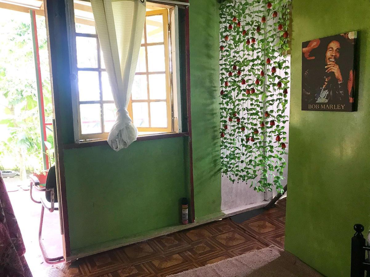 Nature In Portland Port Antonio Exterior photo